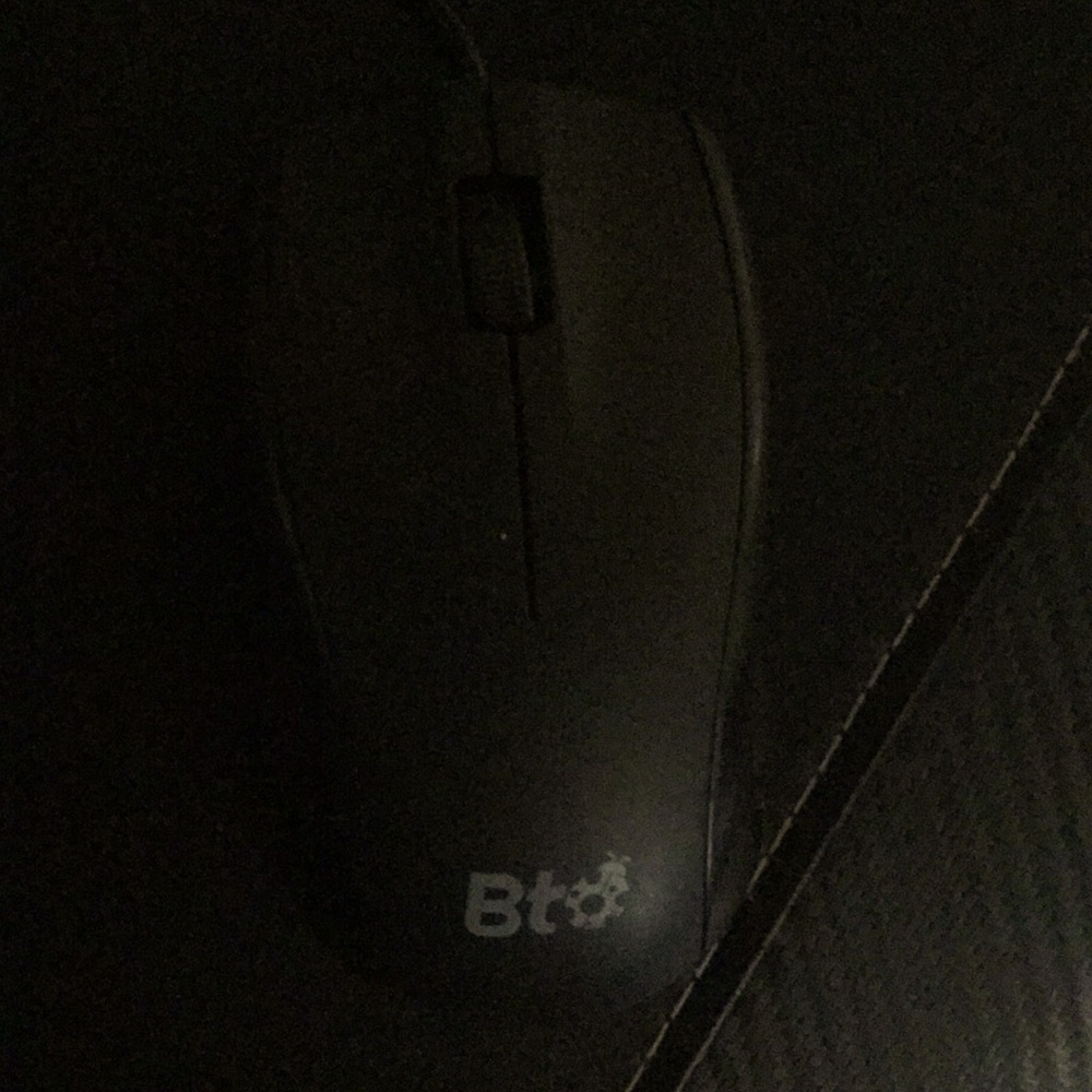 Mouse